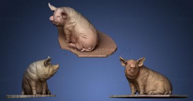 3D model Big Purple Pig (STL)